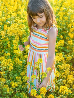 Sarı tarlada bir çocuk, hardal açar. Seçici odak.