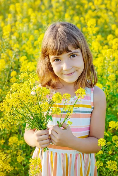 Niño Campo Amarillo Mostaza Florece Enfoque Selectivo — Foto de Stock