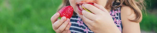 Niño Come Fresas Verano Enfoque Selectivo Gente —  Fotos de Stock