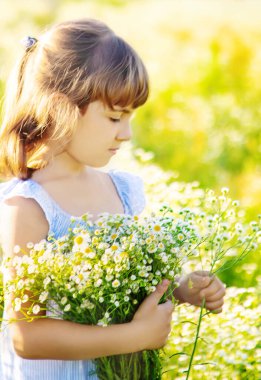 Papatya tarlasında bir kız çocuğu. Seçici odaklanma. Doğa.