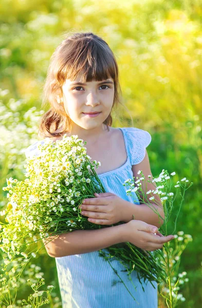 Child Girl Camomile Field Selective Focus Nature — Stock Photo, Image