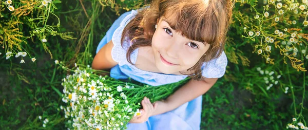 Mädchen Einem Kamillenfeld Selektiver Fokus Natur — Stockfoto