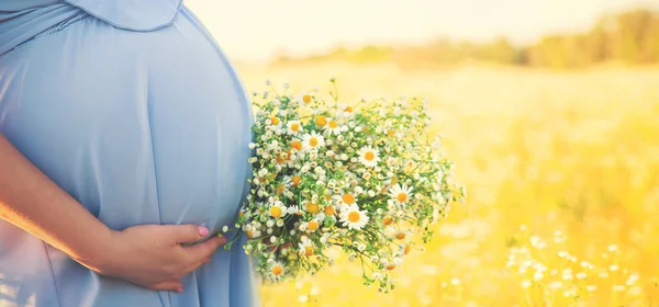 Mujer Embarazada Con Manzanillas Las Manos Enfoque Selectivo Naturaleza — Foto de Stock