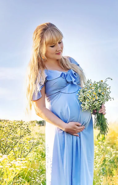Elinde Papatyalar Olan Hamile Bir Kadın Seçici Odaklanma Doğa — Stok fotoğraf