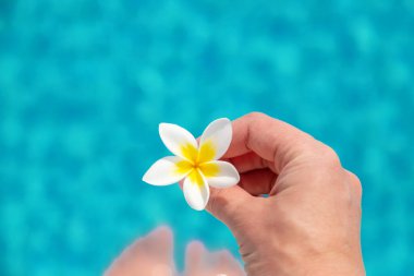 Havuzun yanındaki çiçekli kız. Seçici odaklanma. Doğa.