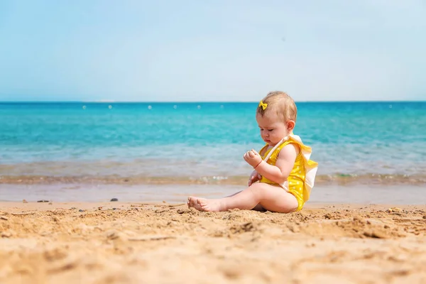 Baby Strand Meeresnähe Selektiver Fokus Natur — Stockfoto