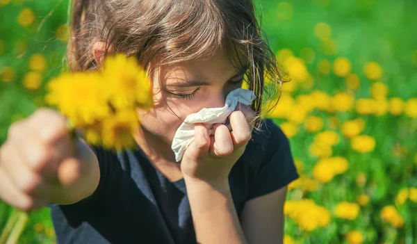 Gyermek Allergiás Virágokra Szelektív Fókusz Természet — Stock Fotó