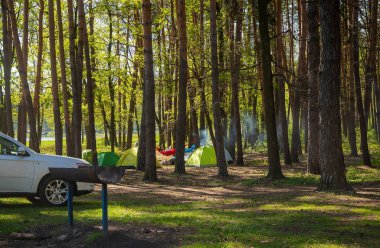 Ormandaki çadırlar. Seçici odaklanma. Doğa.