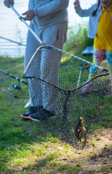 網で魚を釣る 選択的フォーカス — ストック写真