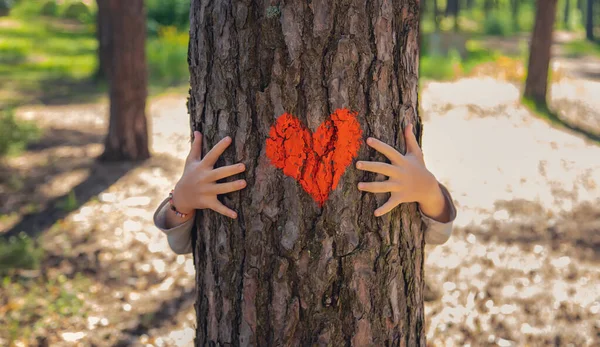 A child hugs a tree - loves and protects nature. Selective focus. nature.