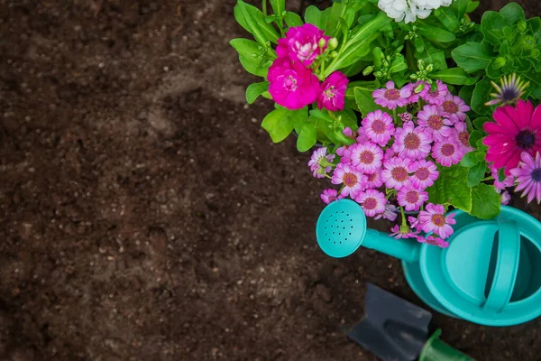 Plantez Des Fleurs Dans Jardin Concentration Sélective Nature — Photo