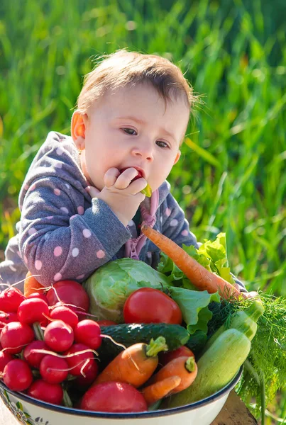 Baby Holds His Hands Lot Vegetables Harvest Garden Selective Focus — Stock Photo, Image