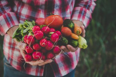A man holds in his hands harvest vegetables from the garden. Selective focus. Food.