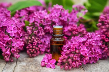 Küçük bir şişedeki leylak yağı. Seçici odaklanma. Doğa.