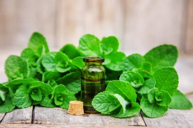 Küçük bir şişede nane yağı. Seçici odaklanma. Doğa.