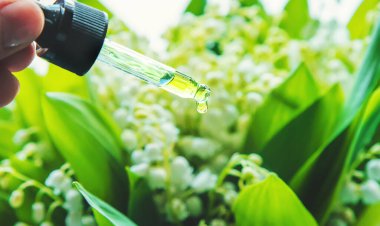 Vadideki zambak, küçük bir şişede gerekli yağ. Seçici odaklanma. Doğa.