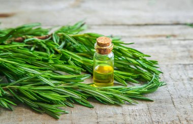 Biberiye yağı küçük bir şişede. Seçici odaklanma. Doğa.