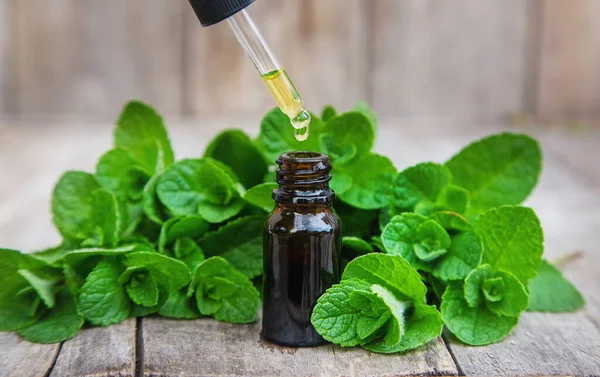 Küçük bir şişede nane yağı. Seçici odaklanma. Doğa.