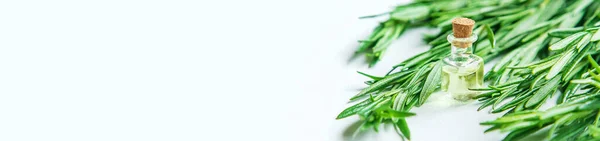 Rosemary Essential Oil Small Bottle Selective Focus Nature — Stock Photo, Image