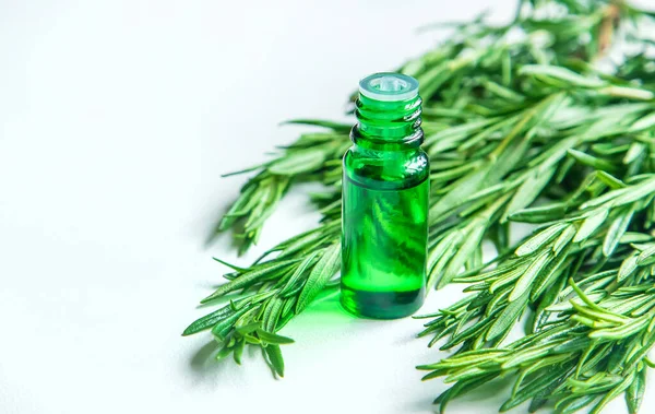 Rosemary Essential Oil Small Bottle Selective Focus Nature — Stock Photo, Image