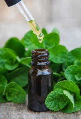 Küçük bir şişede nane yağı. Seçici odaklanma. Doğa.