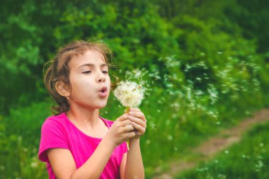 Çocuk doğada karahindiba üflüyor. Seçici odaklanma. Doğa.