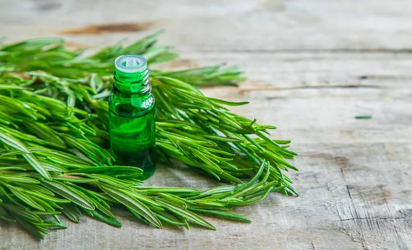 Rosemary Essential Oil Small Bottle Selective Focus Nature — Stock Photo, Image