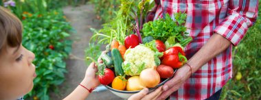 Bir adam çiftçi ve bir çocuk ellerinde sebze hasadı tutuyorlar. Seçici odaklanma. Doğa.