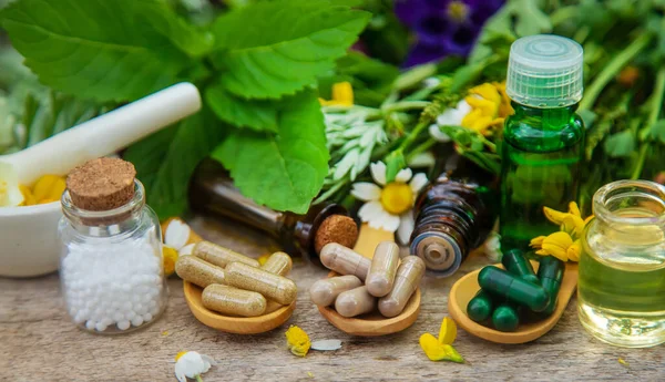 Ervas Homeopáticas Medicamentos Foco Seletivo Natureza — Fotografia de Stock