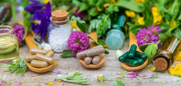 Hierbas Homeopáticas Pastillas Medicinales Enfoque Selectivo Naturaleza — Foto de Stock