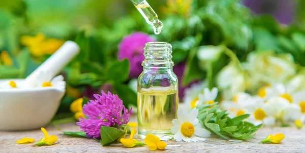 Tintura Hierbas Medicinales Una Botella Pequeña Enfoque Selectivo Naturaleza — Foto de Stock