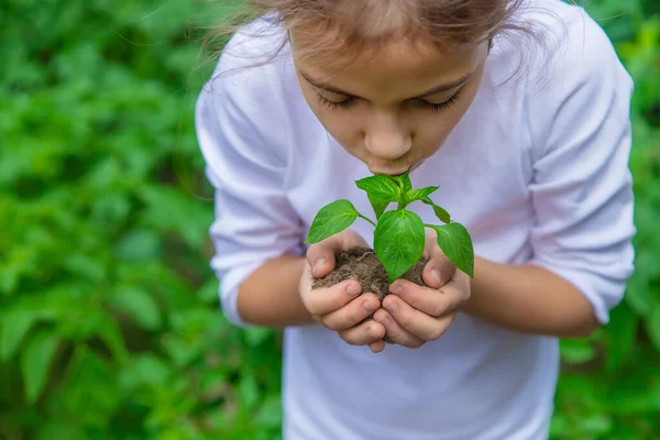 Anak Itu Menanam Bibit Kebun Fokus Selektif Alam — Stok Foto