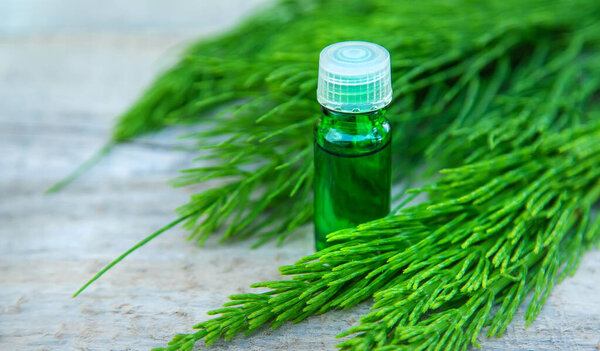 Экстракт хвоста в маленькой бутылке. Выборочный фокус. Природа,