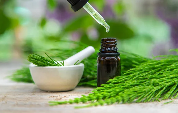 Horsetail Extract Small Bottle Selective Focus Nature — Stock Photo, Image
