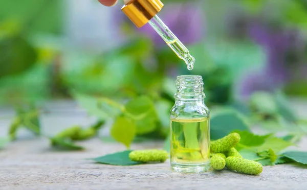 Extracto Brote Abedul Una Botella Pequeña Enfoque Selectivo Naturaleza — Foto de Stock