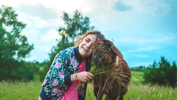 子供は牧草地で羊を養う 選択的フォーカス — ストック写真