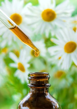 Papatya özütü tentürü bir pipetin içinde. Seçici odaklanma. Doğa.