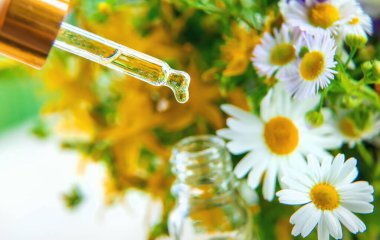 Pipet damlasında bitkisel özün tentürü. Seçici odaklanma. Doğa.