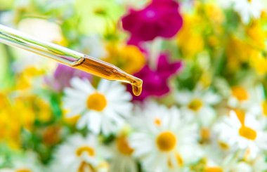 Pipet damlasında bitkisel özün tentürü. Seçici odaklanma. Doğa.