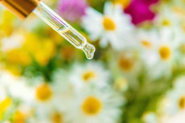 Pipet damlasında bitkisel özün tentürü. Seçici odaklanma. Doğa.