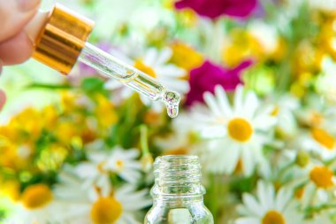 Pipet damlasında bitkisel özün tentürü. Seçici odaklanma. Doğa.