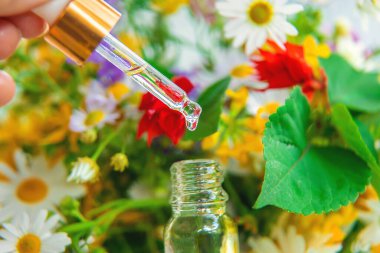 Pipet damlasında bitkisel özün tentürü. Seçici odaklanma. Doğa.