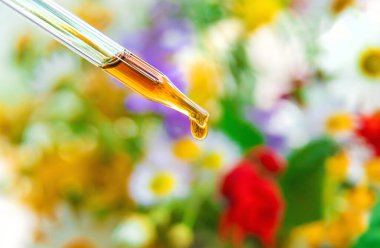 Pipet damlasında bitkisel özün tentürü. Seçici odaklanma. Doğa.