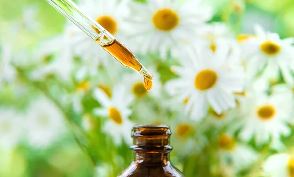 Tincture Chamomile Extract Pipette Drop Selective Focus Nature — Stock Photo, Image