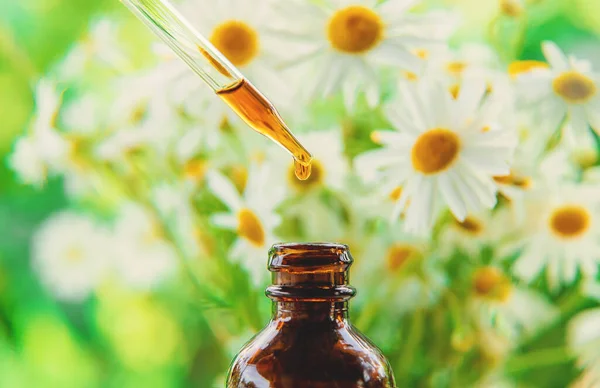 Tincture Chamomile Extract Pipette Drop Selective Focus Nature — Fotografia de Stock