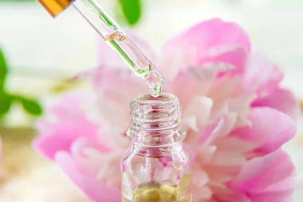 Tincture Peony Extract Pipette Drop Selective Focus Nature — Stock Photo, Image