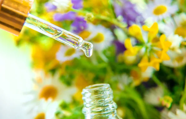 Tintura Extrato Ervas Uma Gota Pipeta Foco Seletivo Natureza — Fotografia de Stock