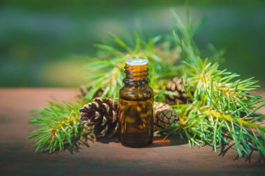 Temel yağ küçük bir şişedeki çam ağacıydı. Seçici odaklanma. Doğa.