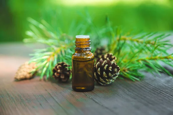 Aceite Esencial Era Pino Una Botella Pequeña Enfoque Selectivo Naturaleza —  Fotos de Stock