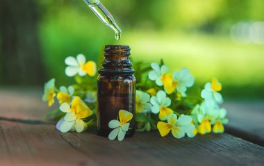 Küçük bir şişede mor esans yağı. Seçici odaklanma. Doğa.